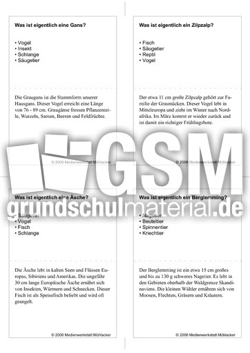 Quiz-Karten-Tiernamen 68.pdf